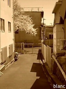 とある路地の風景